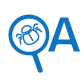 QA Testing services